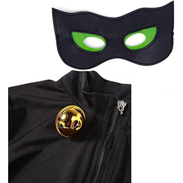 Adult Black Cat Superhero Costume with Mask, Ears and Wig