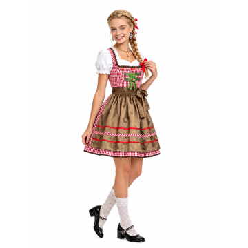 Womens Bavarian Beer Maid Dirndl Costume - Red Gingham Oktoberfest Dress