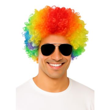 Adult Rainbow Afro Wig - Disco 70s Clown Costume Accessory