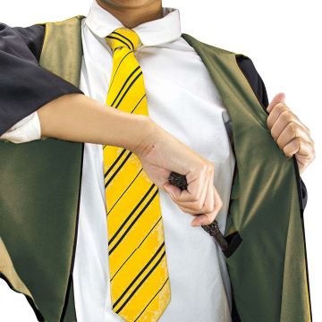 Adult Wizard School Robe with Hood and House Crest - Black & Gold