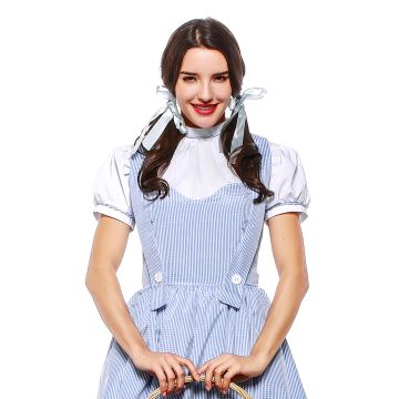 Adult Kansas Farm Girl Costume - Blue Gingham Dress with White Blouse