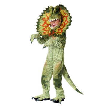 Kids Triceratops Dinosaur Costume tt3165