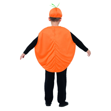 Kids Roald Dahl James And The Giant Peach Costume Boys Girls Book Week Fruits
