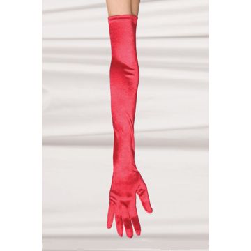 Gloves H-2081R