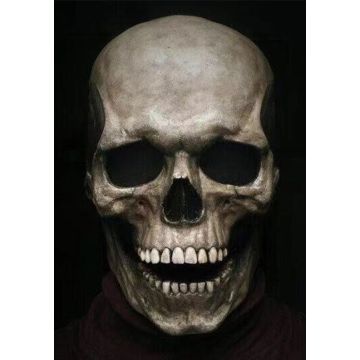 Adult Skull Face Mask with Movable Jaw - Realistic Skeleton Horror Mask