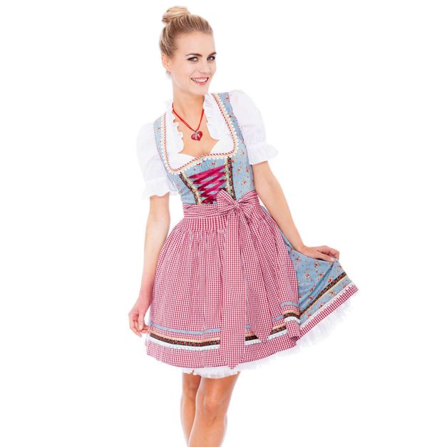 Womens Bavarian dirndl costume with blue floral bodice and red gingham apron